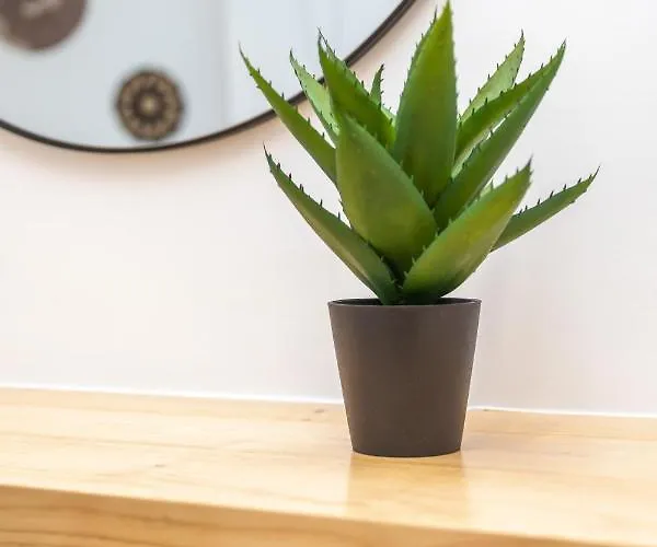 Naxos Downtown & Appartement Naxos City